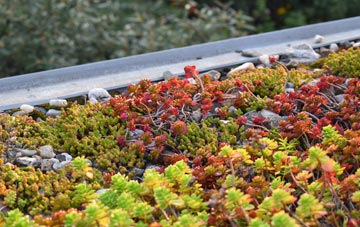 the cost of Cromhall Common green roof installation