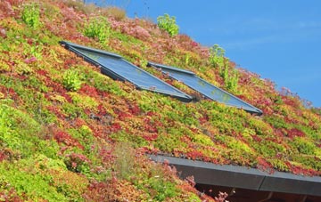 Cromhall Common living roof systems